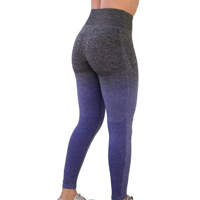 Women Seamless Leggings In TEAL Yoga Pants